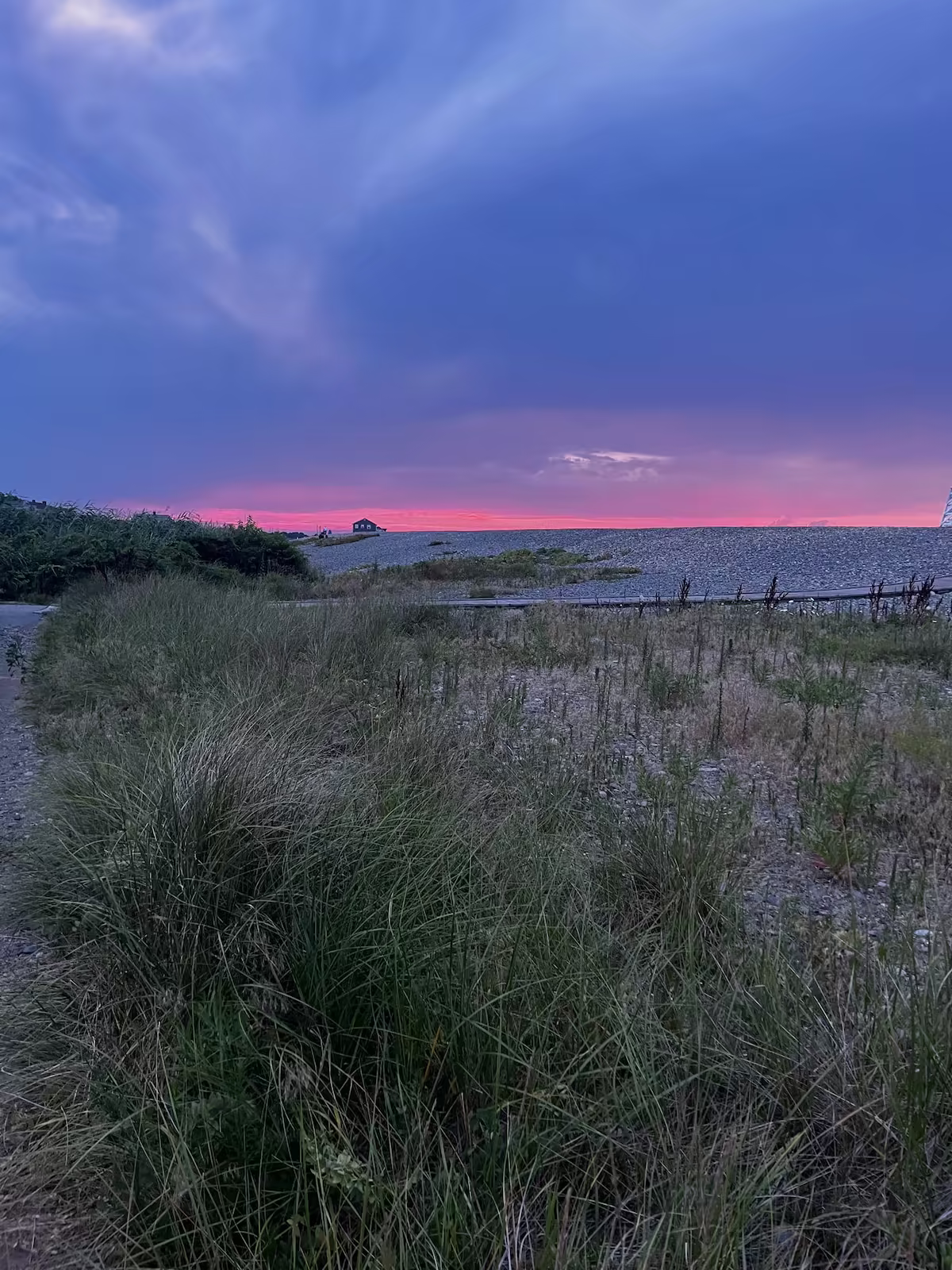 Dune grass under a blue-grey dusk sky, a thin pink band on the horizon